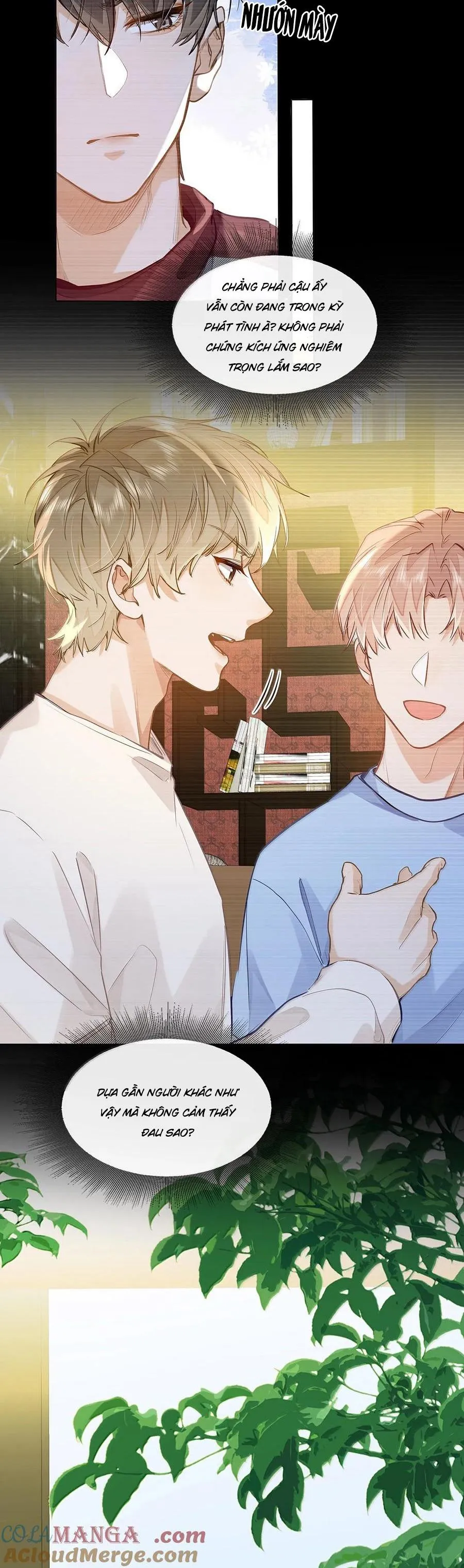 Tôi thích tin tức tố của cậu Chapter 55 Trang 18