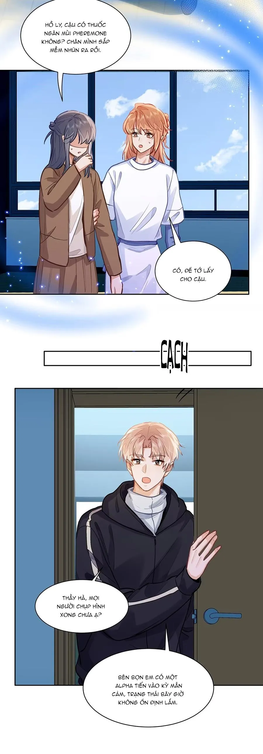 Tôi thích tin tức tố của cậu Chapter 81 Trang 16