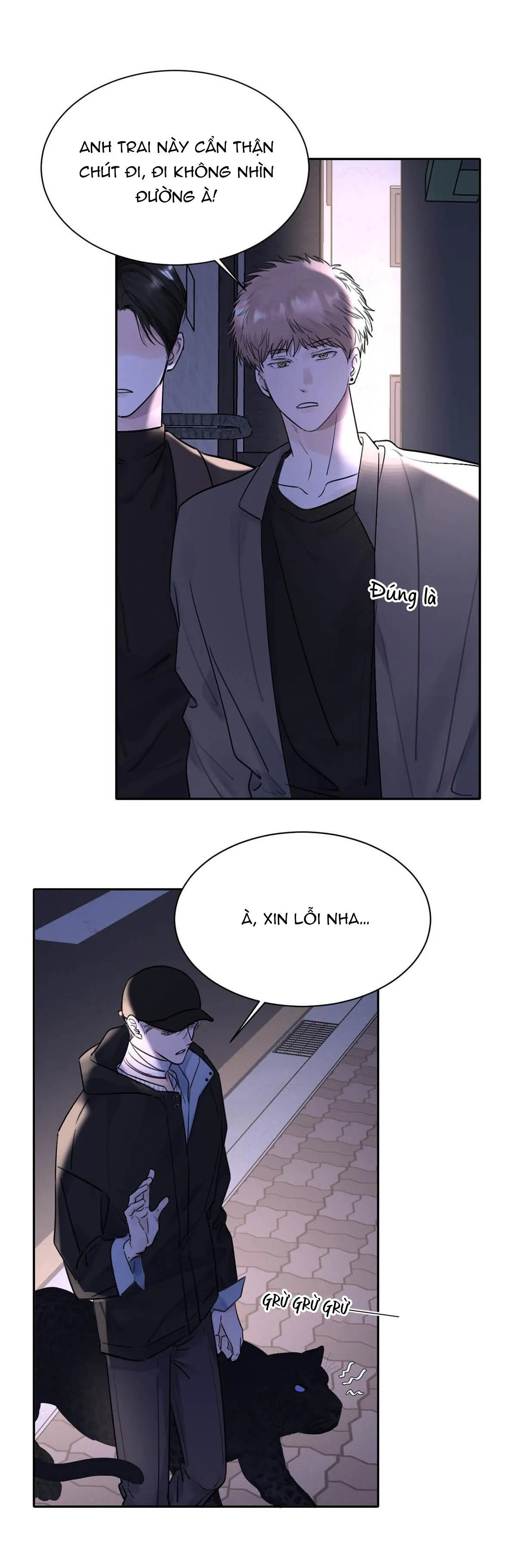 Tôi Trở Thành Dẫn Đường Đỉnh Cấp Nhờ Trúc Mã Chapter 17 Trang 8