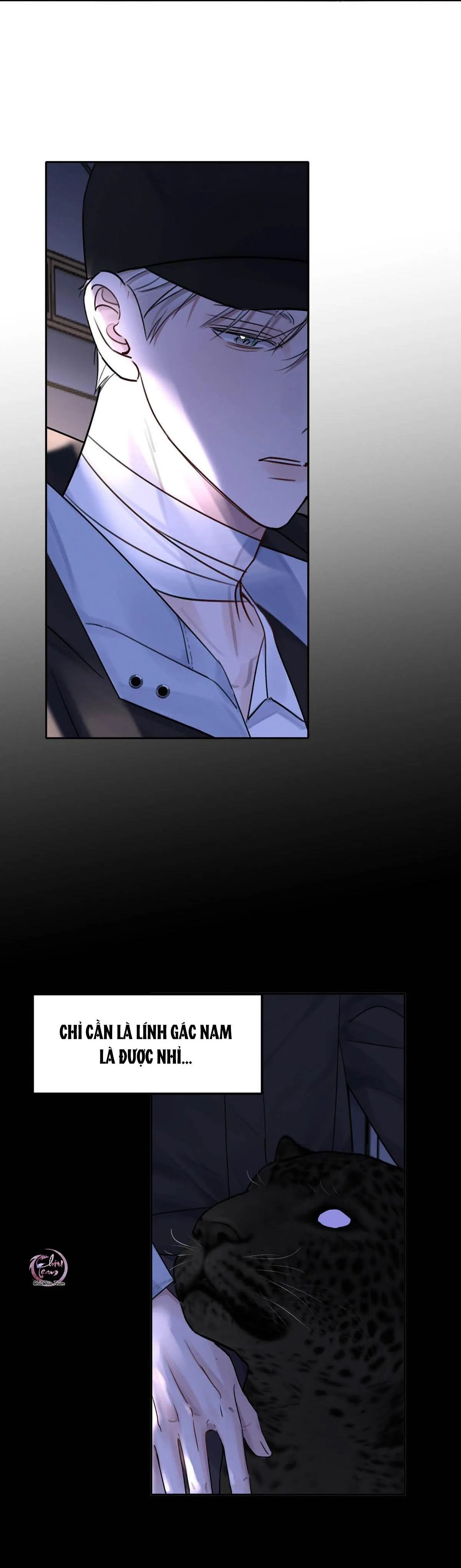 Tôi Trở Thành Dẫn Đường Đỉnh Cấp Nhờ Trúc Mã Chapter 17 Trang 11