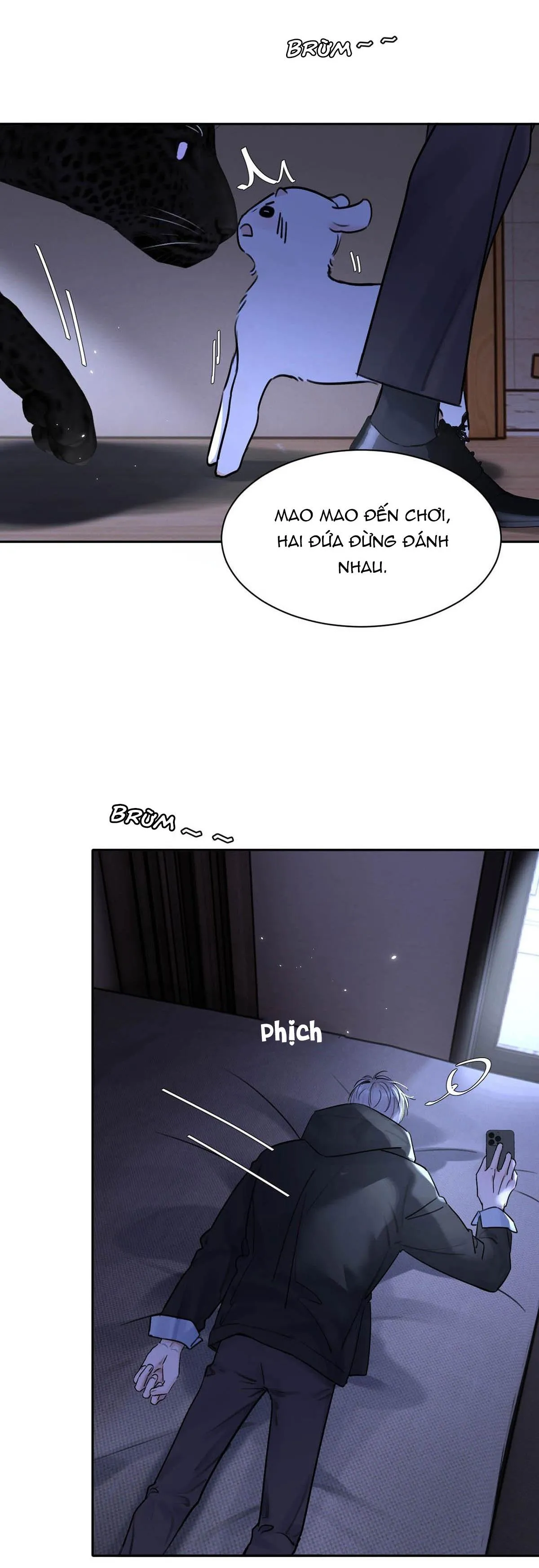 Tôi Trở Thành Dẫn Đường Đỉnh Cấp Nhờ Trúc Mã Chapter 17 Trang 17