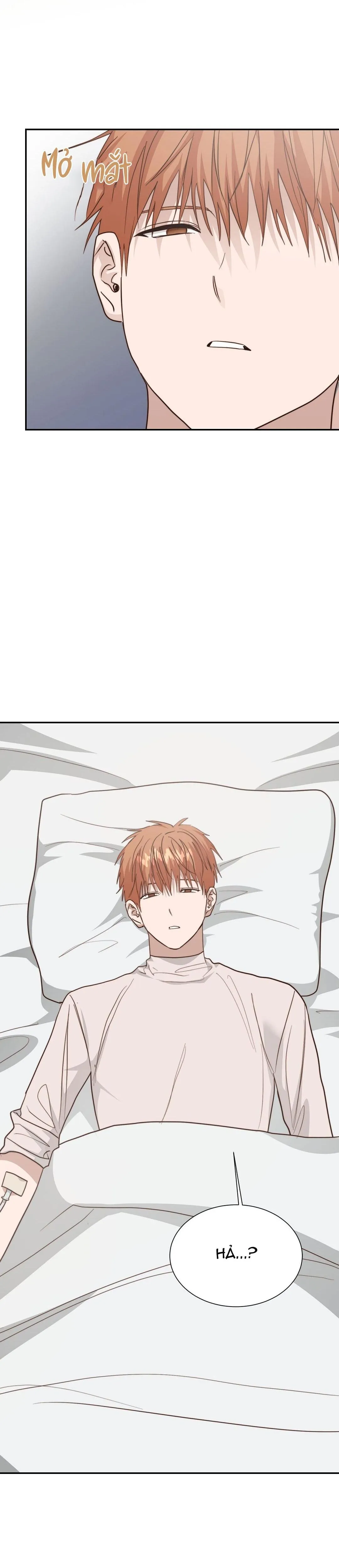 Tôi Trở Thành Nhân Vật Phụ Nhàm Chán Chapter 55 Trang 4