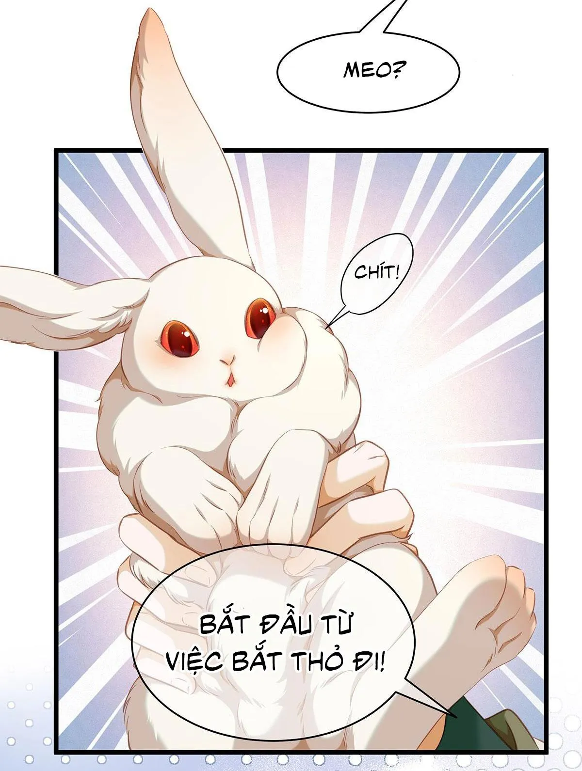 Tôi trùng sinh thành chú rồng đen của vương tử điện hạ Chapter 14 Trang 7