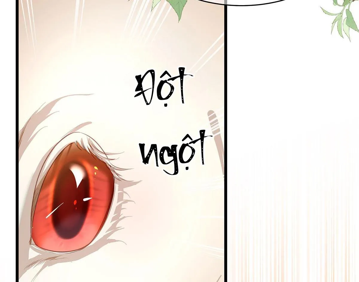 Tôi trùng sinh thành chú rồng đen của vương tử điện hạ Chapter 14 Trang 13