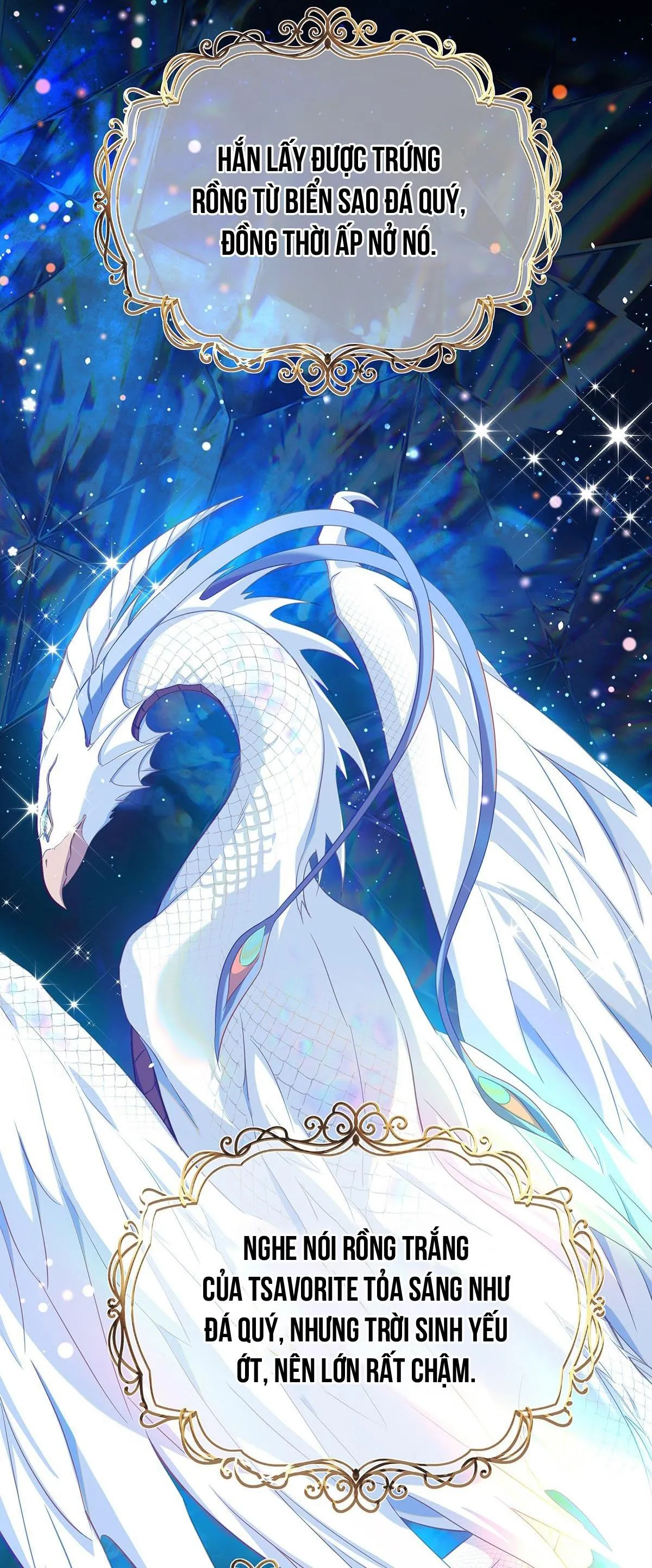 Tôi trùng sinh thành chú rồng đen của vương tử điện hạ Chapter 35 Trang 4