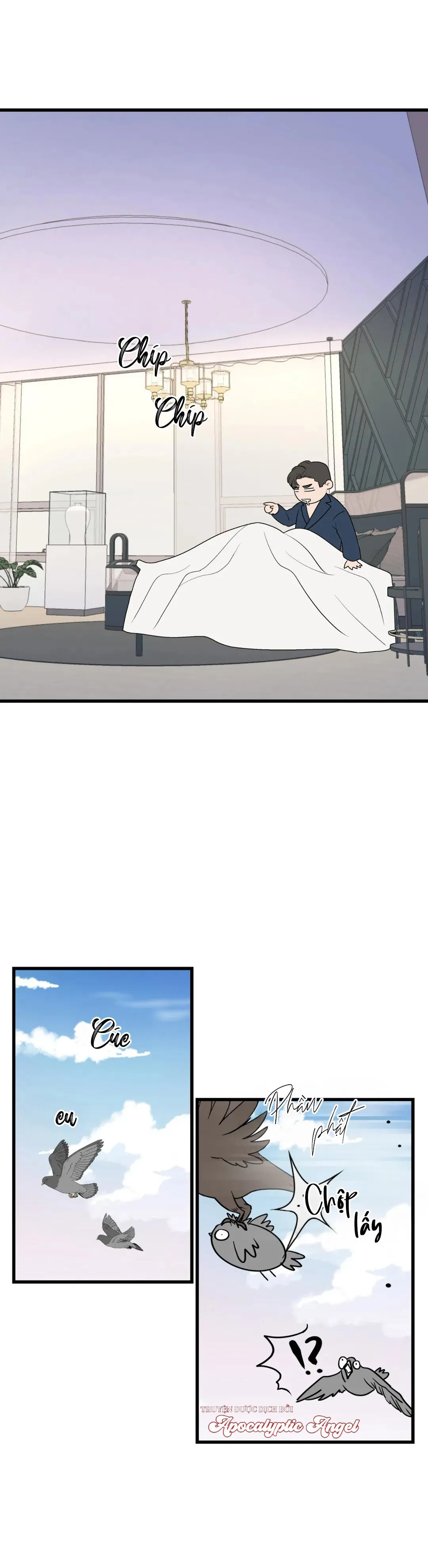 Tôi Từ Trợ Lý Đến Làm Idol Chapter 11 Trang 17