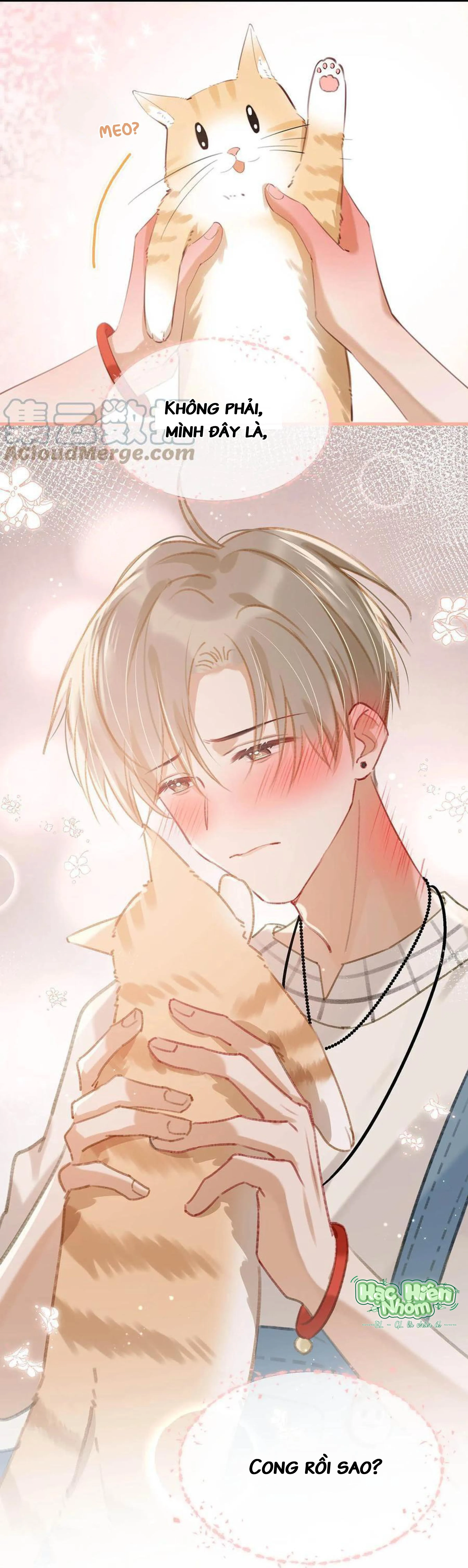 Tôi và đối tác của tôi [DROP] Chapter 52 Trang 49