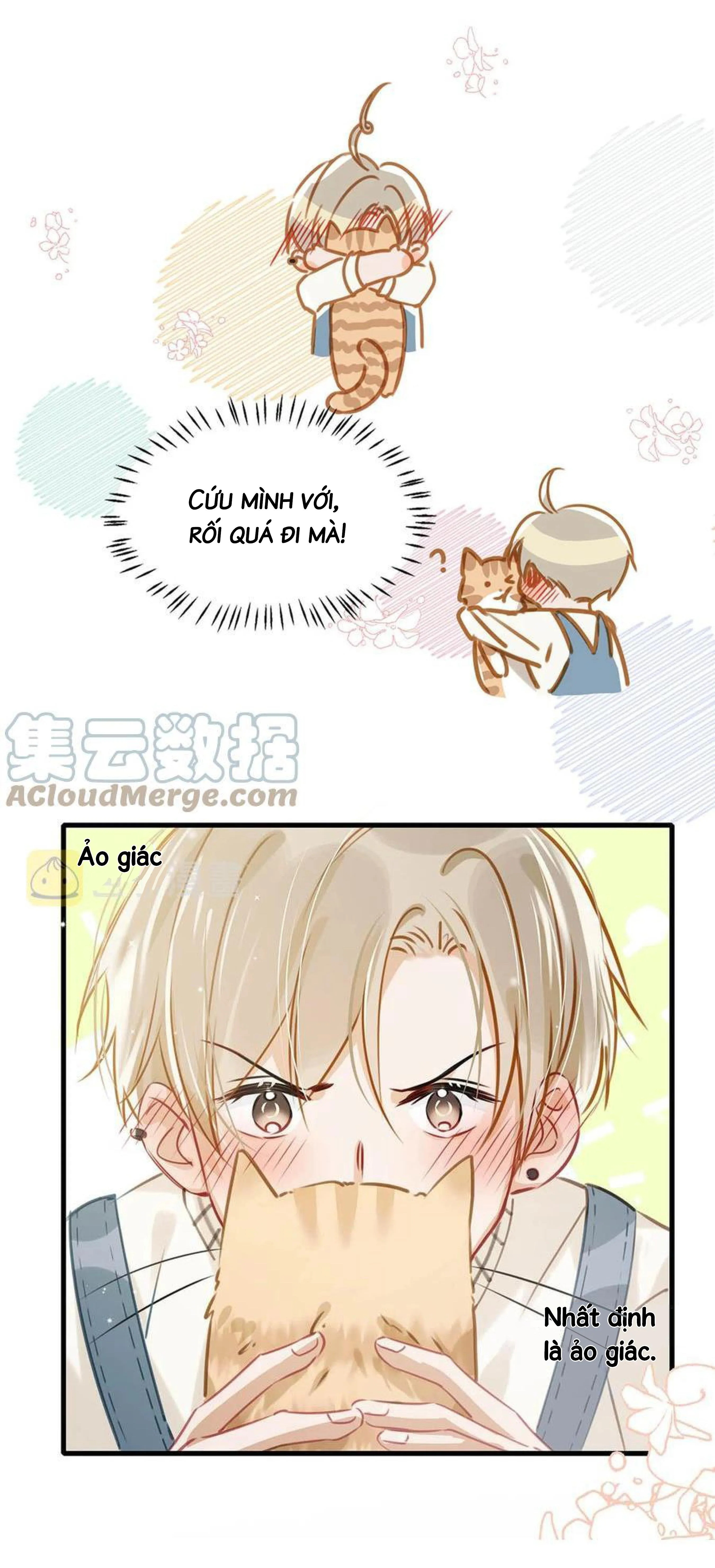 Tôi và đối tác của tôi [DROP] Chapter 53 Trang 19