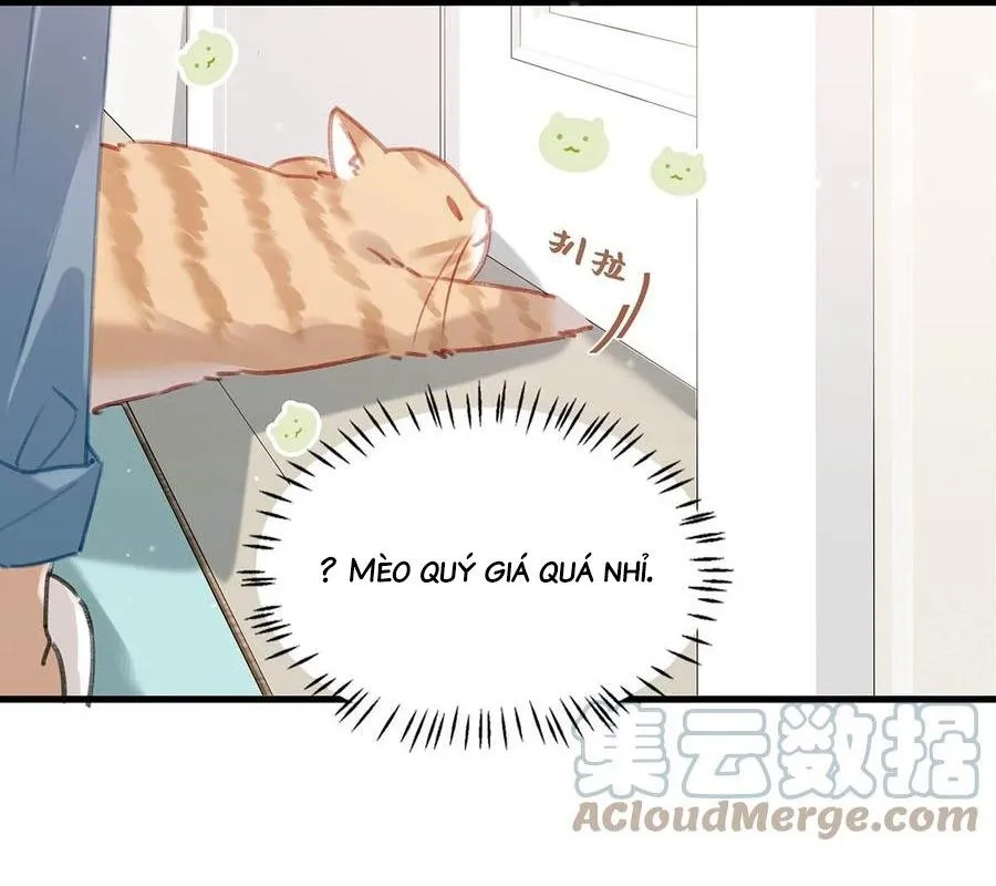 Tôi và đối tác của tôi [DROP] Chapter 55 Trang 16