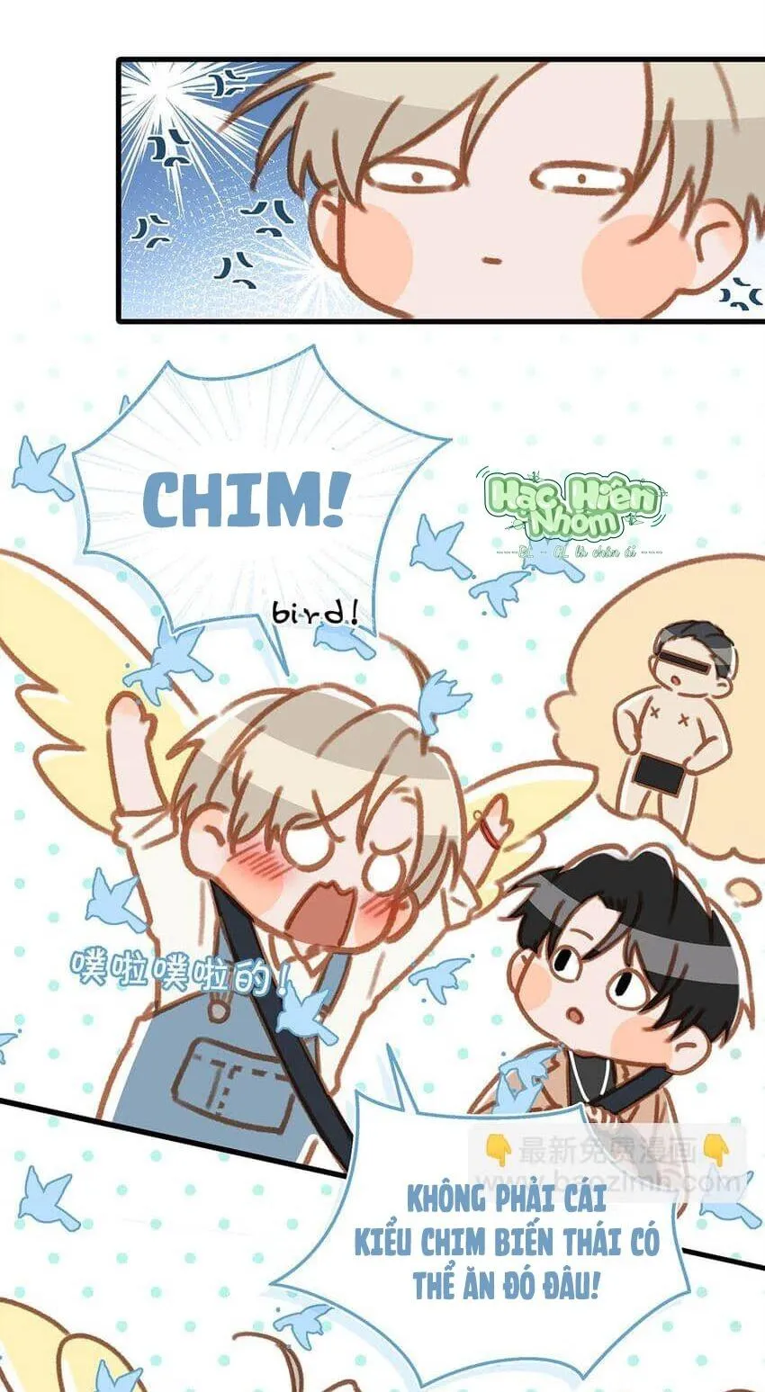 Tôi và đối tác của tôi [DROP] Chapter 66 Trang 15