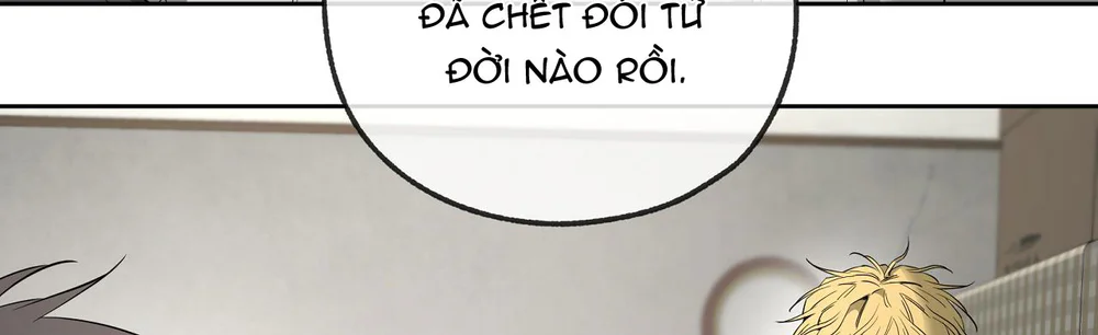 Tôi và Yang Il-woo Chapter 15 Trang 61