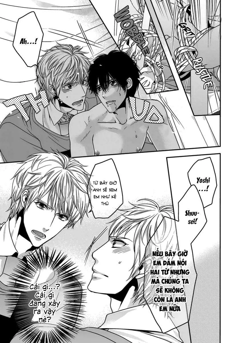 Tôi yêu đương với cặp song sinh Chapter 2 Trang 13