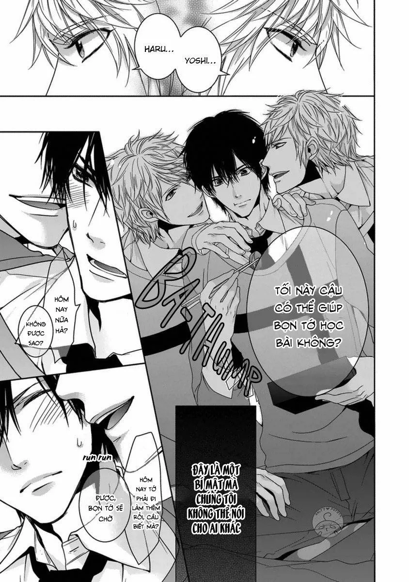 Tôi yêu đương với cặp song sinh Chapter 1 Trang 13