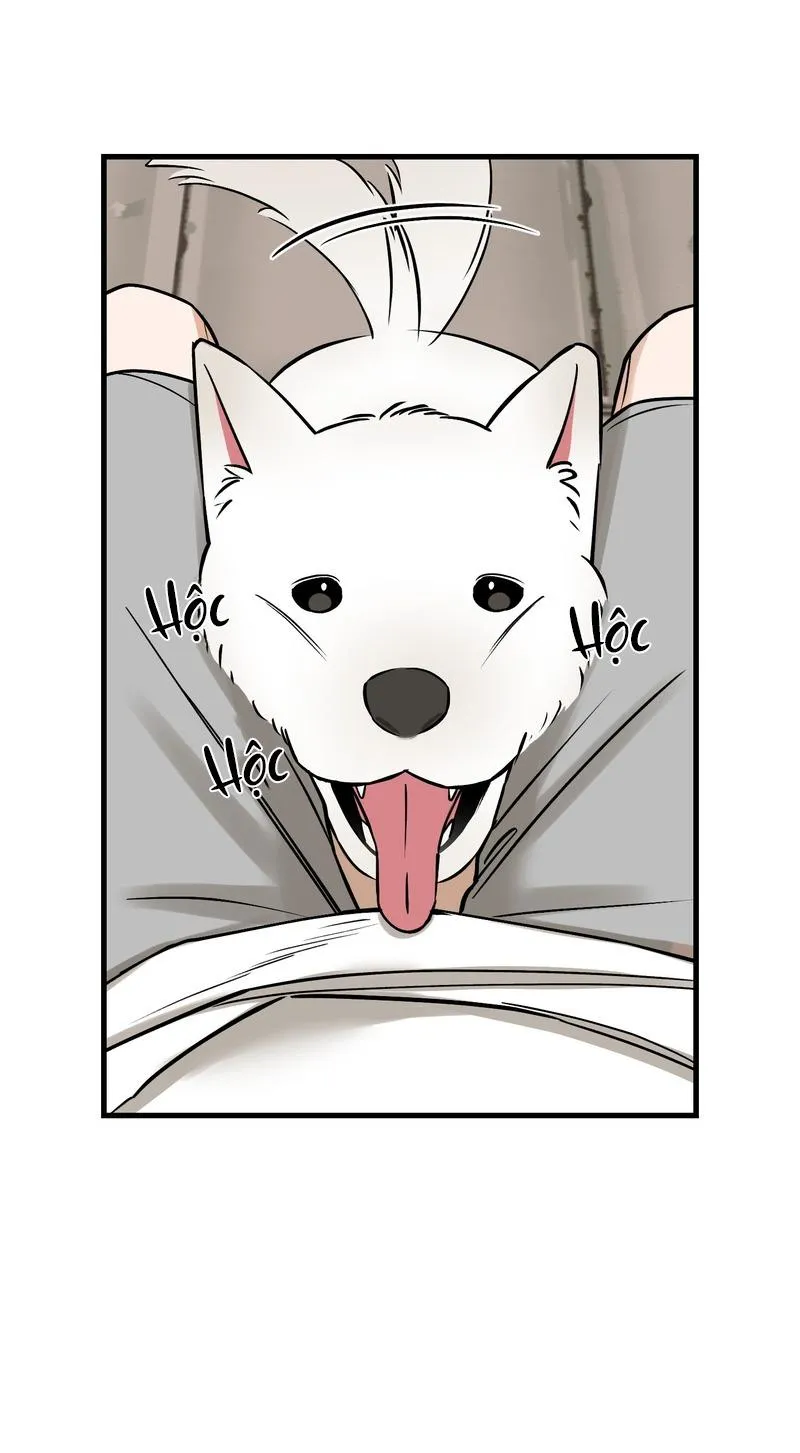 Tóm được em rồi! Chapter 7 Trang 3