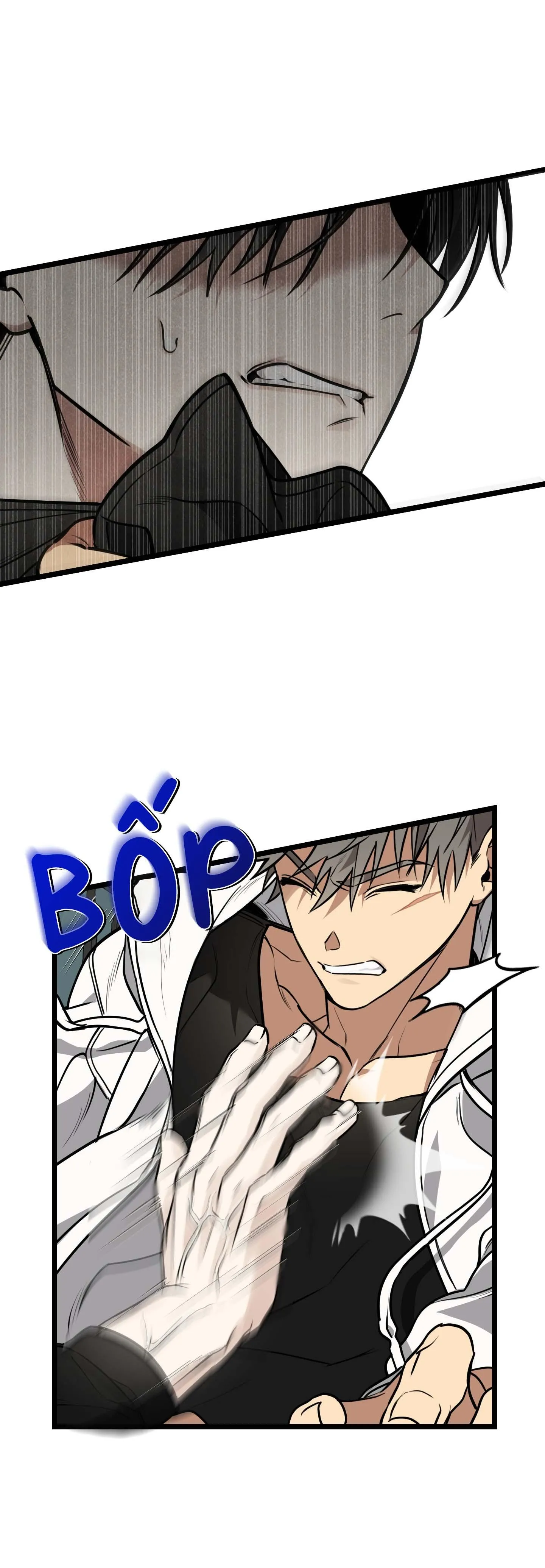 Tôn Kính Và Khát Khao Chapter 2 Trang 4