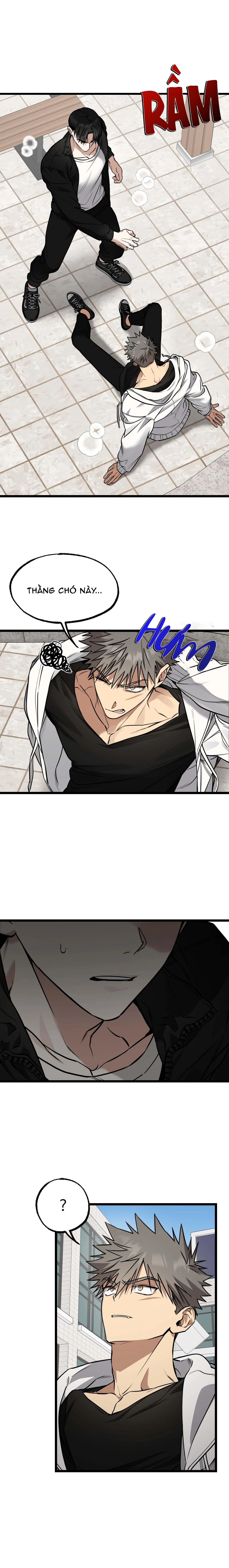 Tôn Kính Và Khát Khao Chapter 2 Trang 5