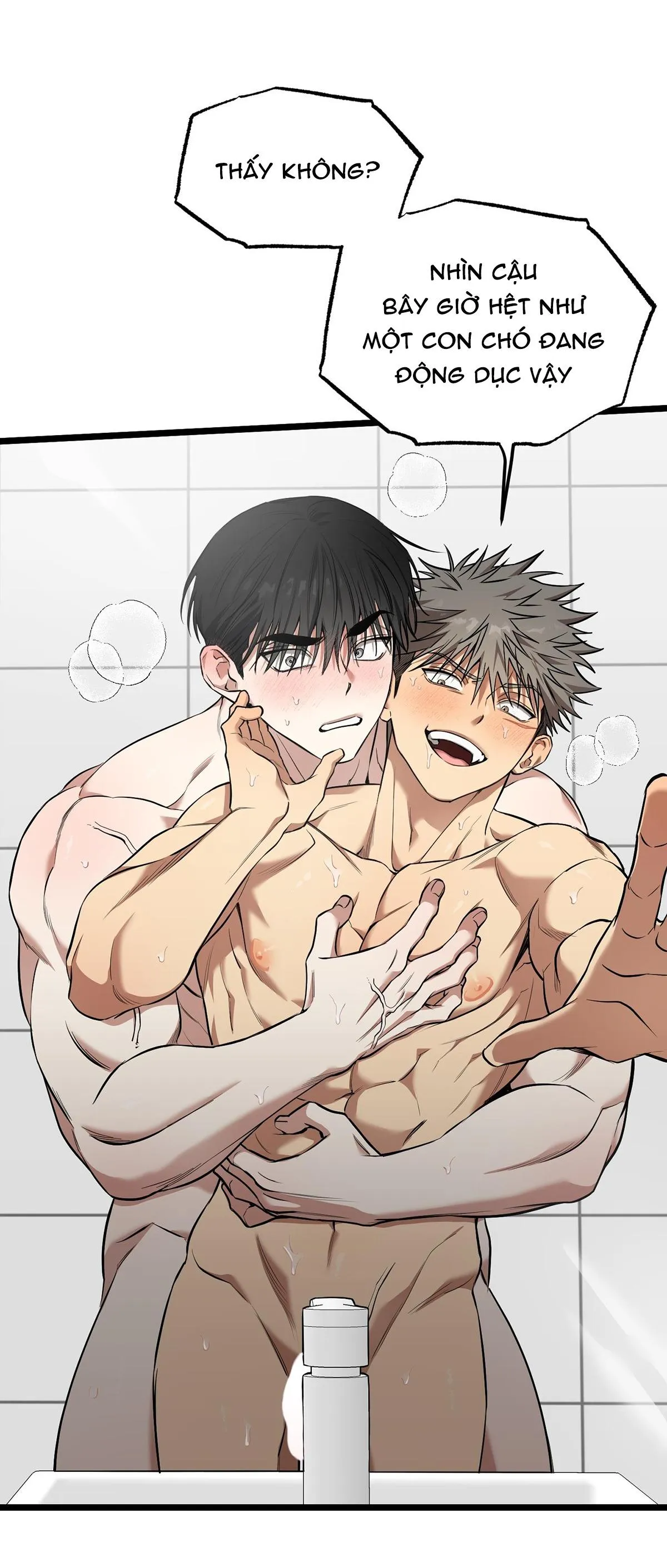 Tôn Kính Và Khát Khao Chapter 11 Trang 14