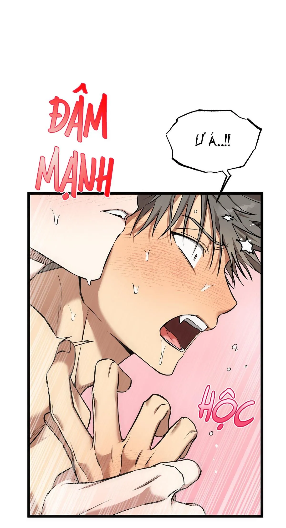 Tôn Kính Và Khát Khao Chapter 11 Trang 17