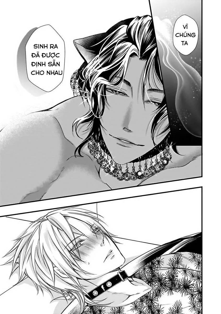 Tondemonai Ore no alpha Vol 2 Chapter 1 Trang 24