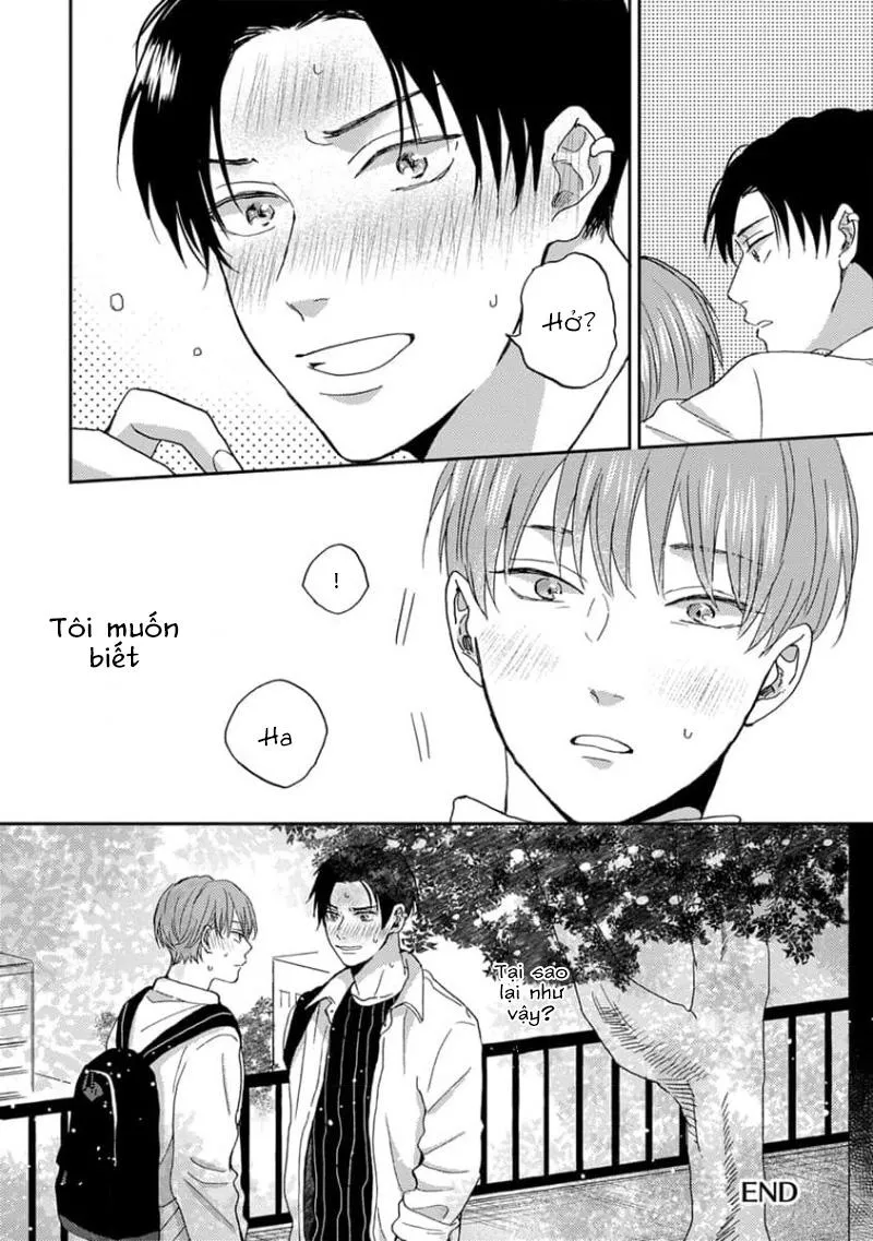 Tổng hợp BL: Tôi đã va vào lưới tình của một chàng trai Chapter 8 Trang 22