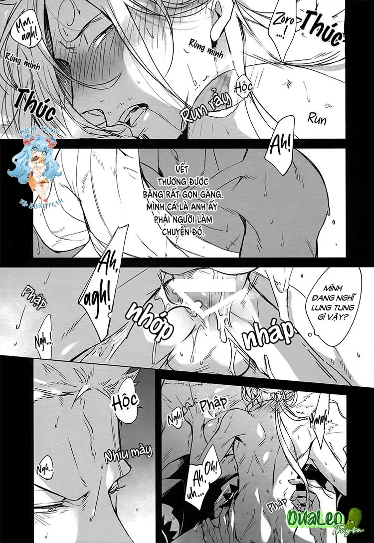 Tổng Hợp OnePiece Dj Chapter 5 Trang 11