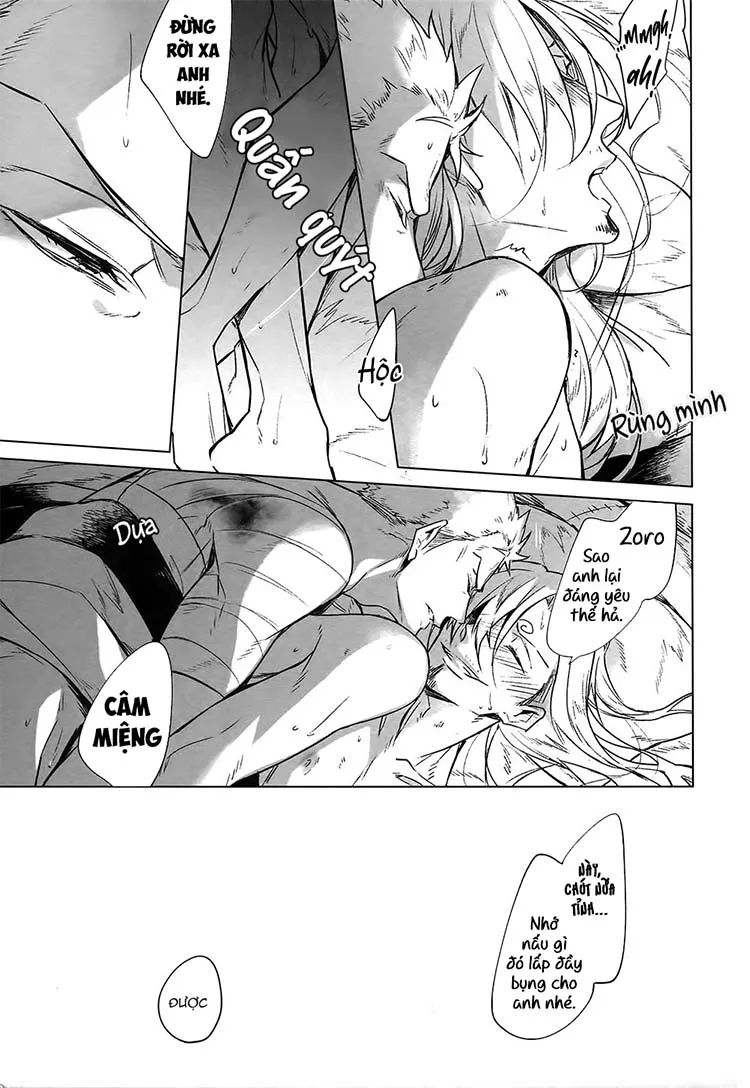 Tổng Hợp OnePiece Dj Chapter 5 Trang 29