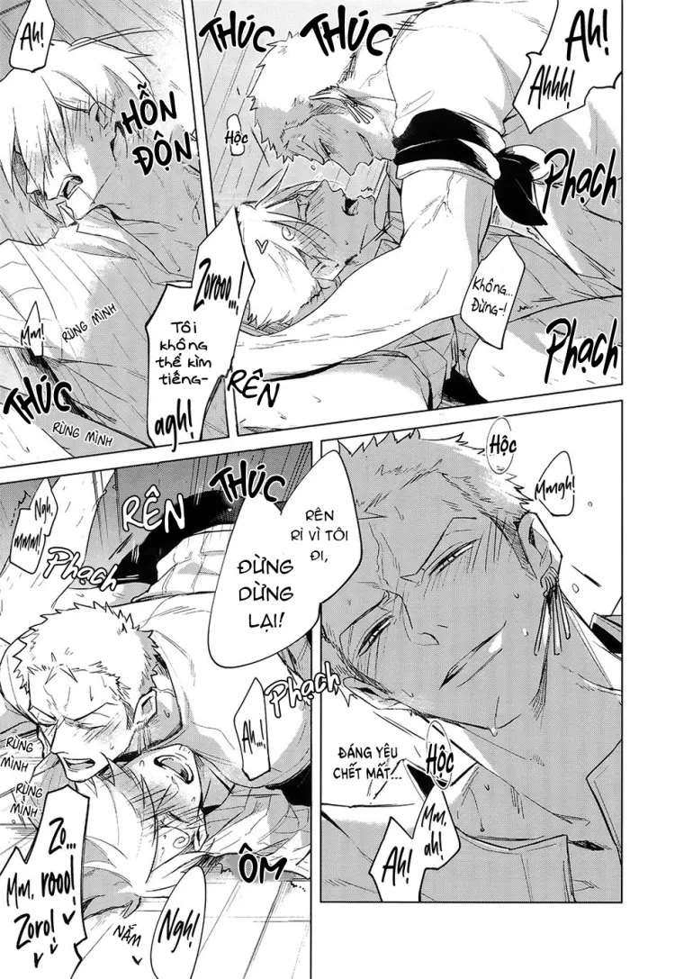 Tổng Hợp OnePiece Dj Chapter 7 Trang 33