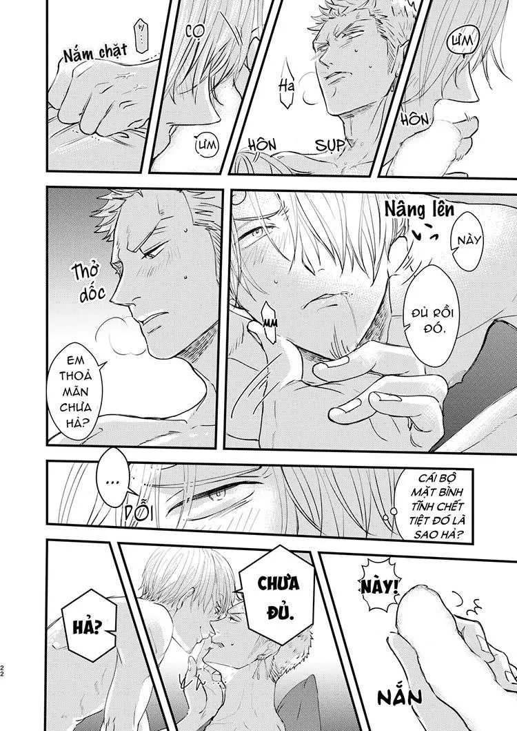 Tổng Hợp OnePiece Dj Chapter 8 Trang 22