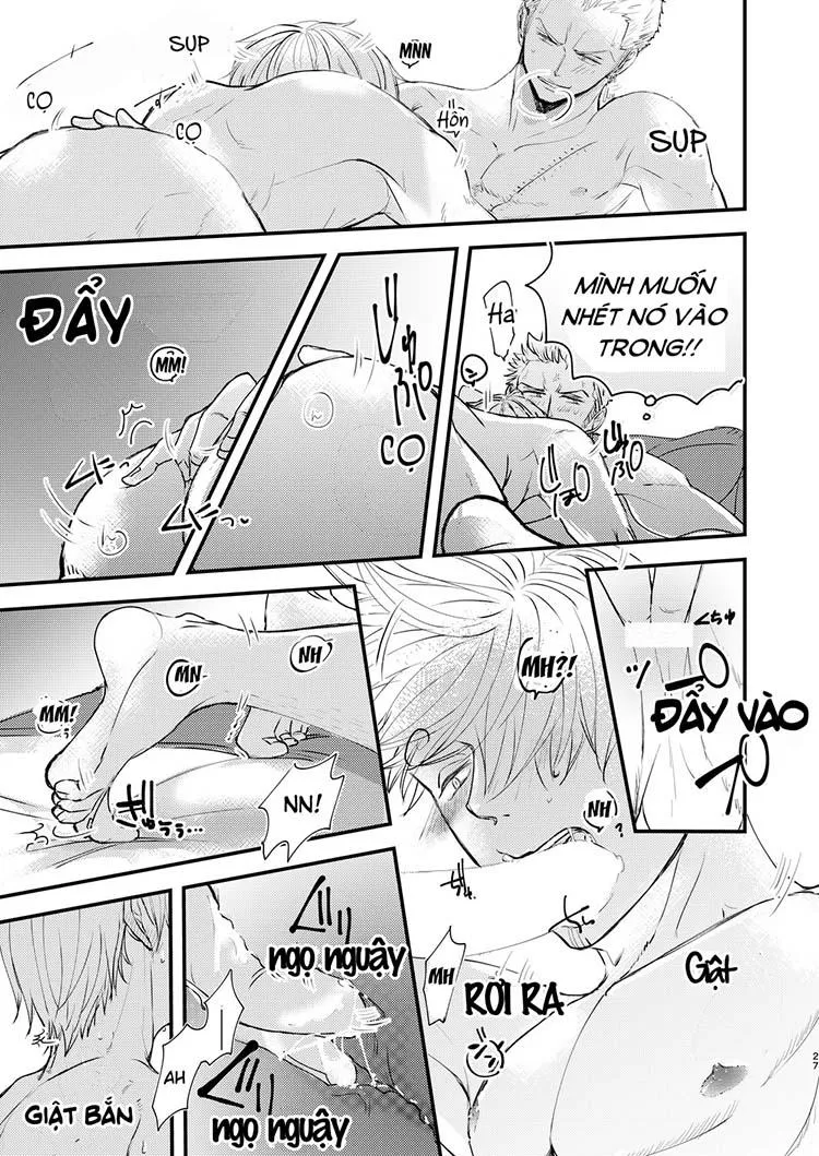 Tổng Hợp OnePiece Dj Chapter 8 Trang 27