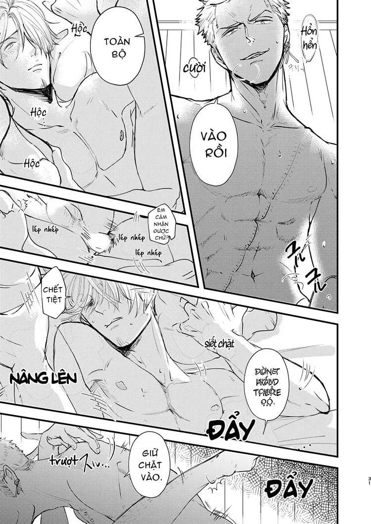 Tổng Hợp OnePiece Dj Chapter 8 Trang 31