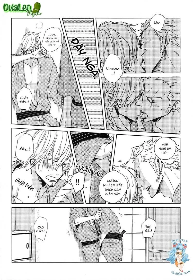 Tổng Hợp OnePiece Dj Chapter 9 Trang 8