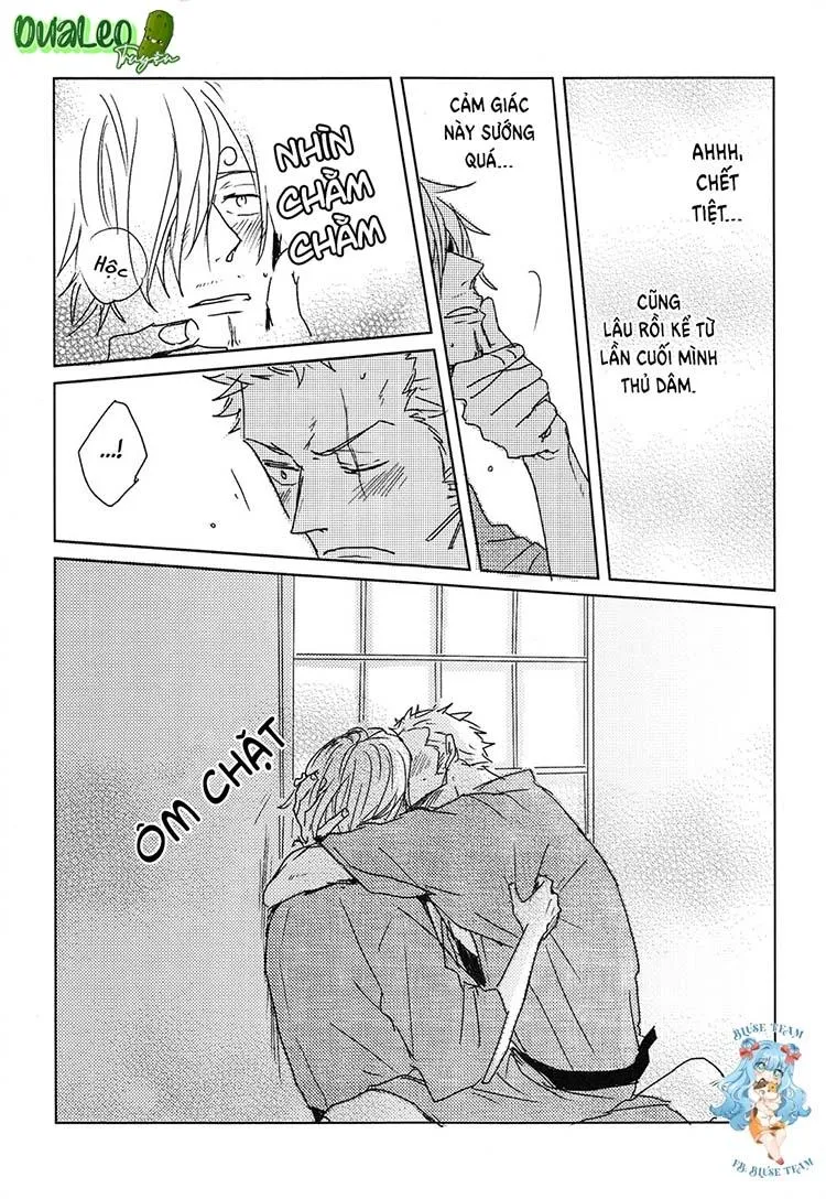 Tổng Hợp OnePiece Dj Chapter 9 Trang 11