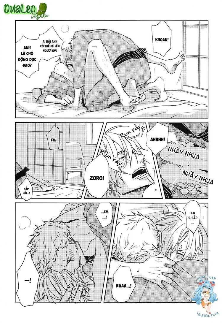 Tổng Hợp OnePiece Dj Chapter 9 Trang 13