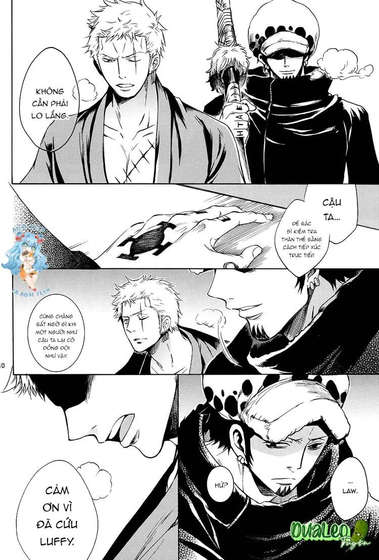 Tổng Hợp OnePiece Dj Chapter 10 Trang 8