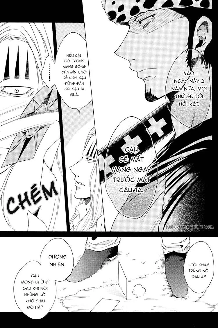 Tổng Hợp OnePiece Dj Chapter 10 Trang 15