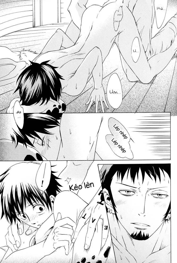 Tổng Hợp OnePiece Dj Chapter 10 Trang 25