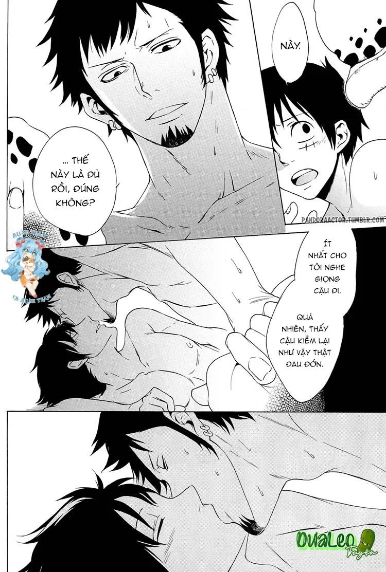 Tổng Hợp OnePiece Dj Chapter 10 Trang 26