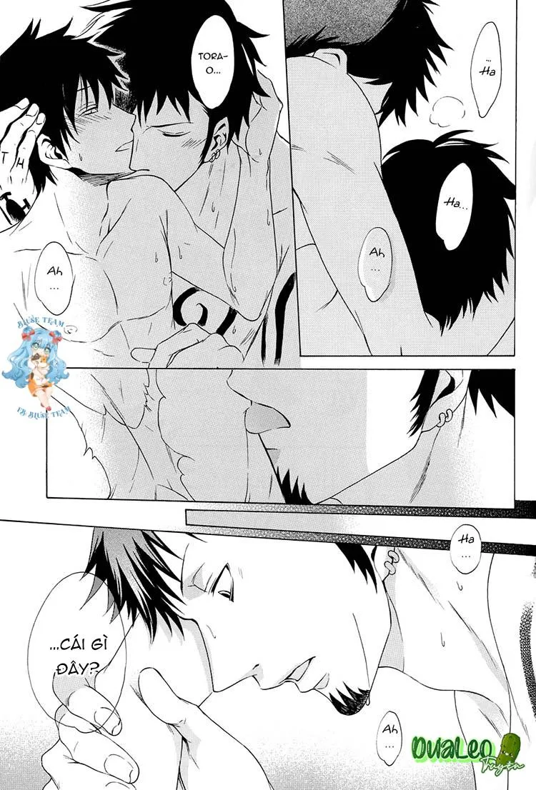 Tổng Hợp OnePiece Dj Chapter 10 Trang 27