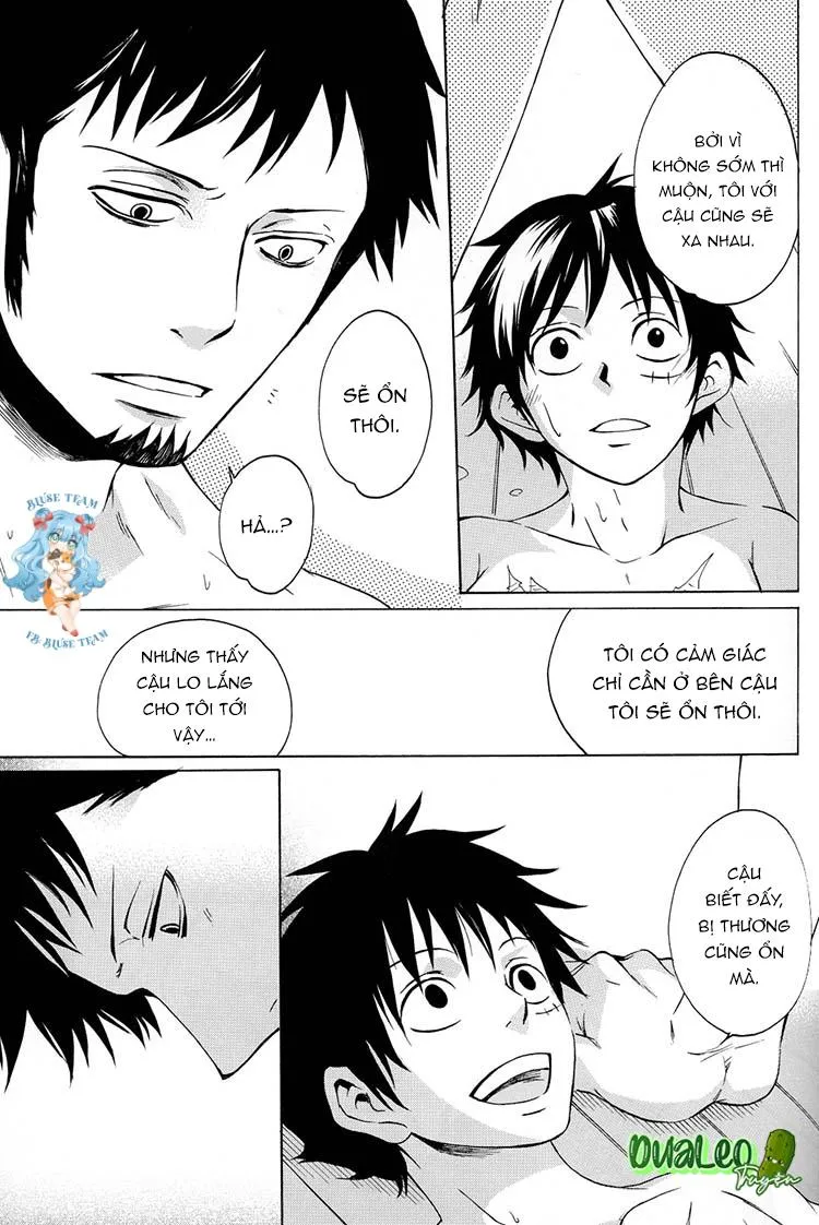 Tổng Hợp OnePiece Dj Chapter 10 Trang 29