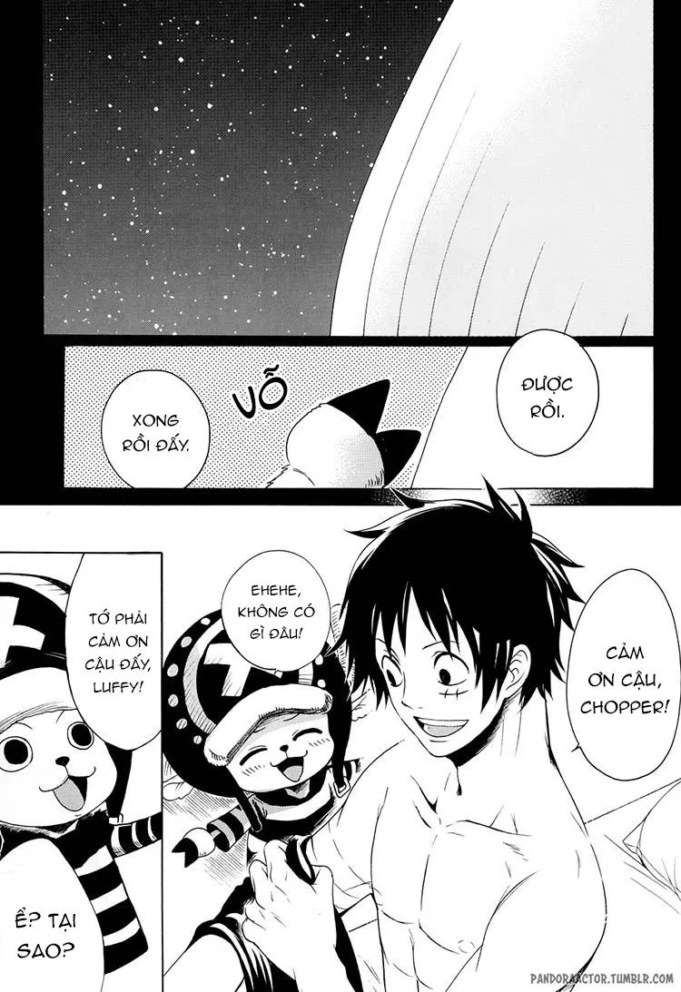 Tổng Hợp OnePiece Dj Chapter 10 Trang 39
