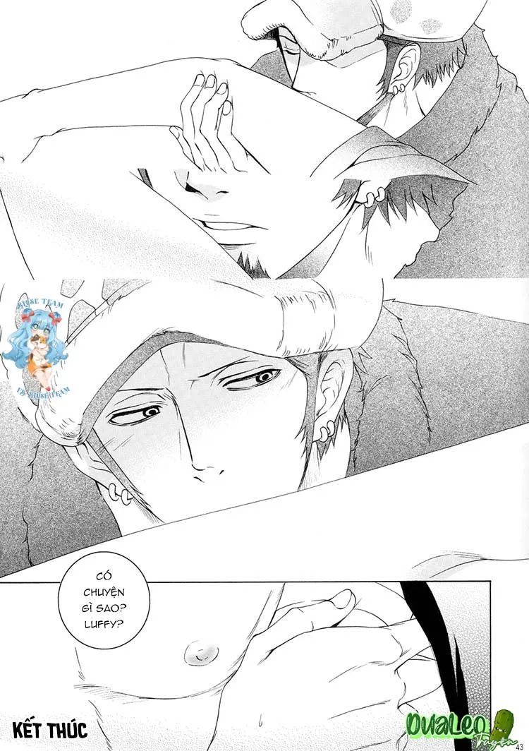 Tổng Hợp OnePiece Dj Chapter 10 Trang 41