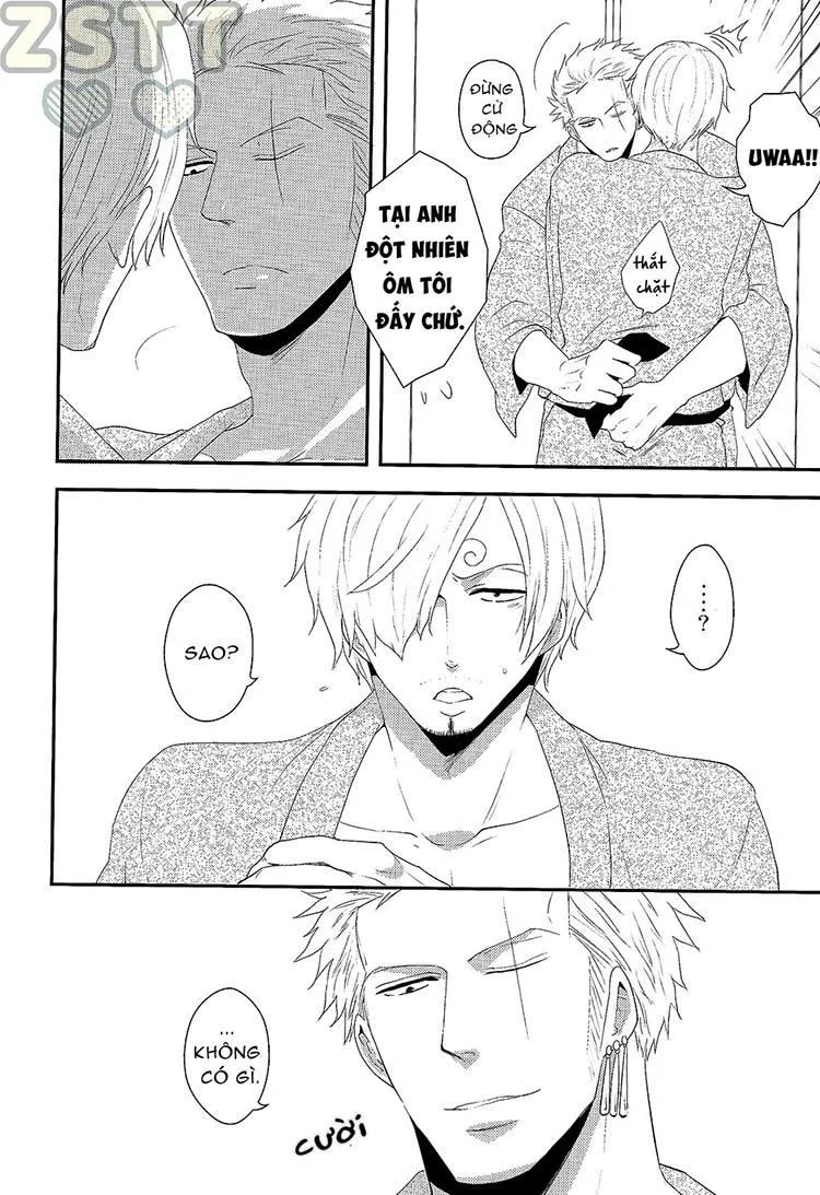 Tổng Hợp OnePiece Dj Chapter 11 Trang 11