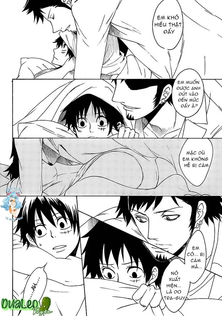 Tổng Hợp OnePiece Dj Chapter 13 Trang 15