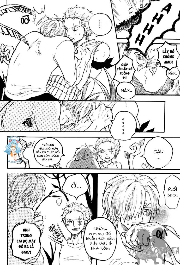 Tổng Hợp OnePiece Dj Chapter 15 Trang 8