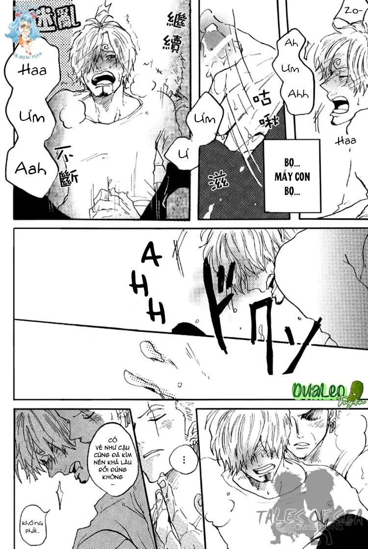 Tổng Hợp OnePiece Dj Chapter 15 Trang 18