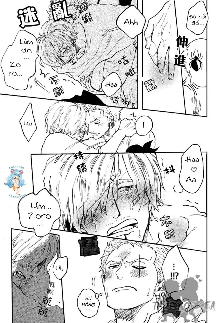 Tổng Hợp OnePiece Dj Chapter 15 Trang 19