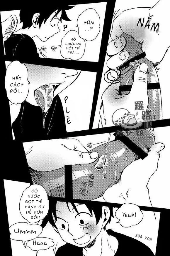 Tổng Hợp OnePiece Dj Chapter 19 Trang 10