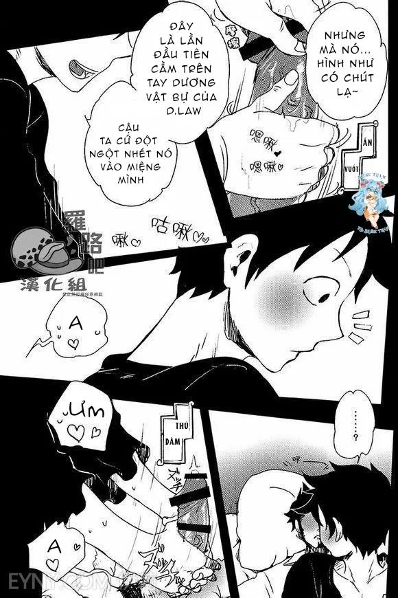 Tổng Hợp OnePiece Dj Chapter 19 Trang 11