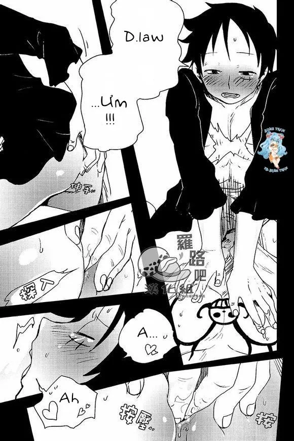 Tổng Hợp OnePiece Dj Chapter 19 Trang 17