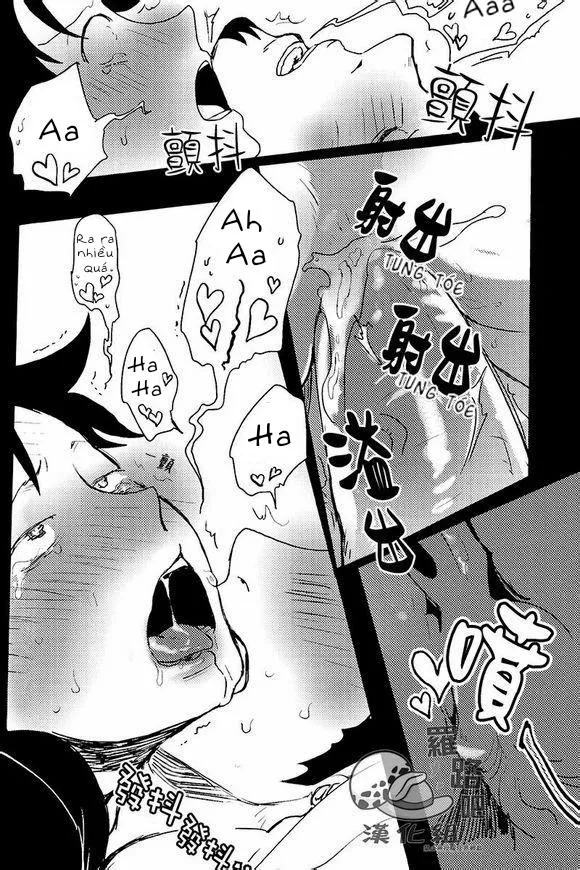 Tổng Hợp OnePiece Dj Chapter 19 Trang 22